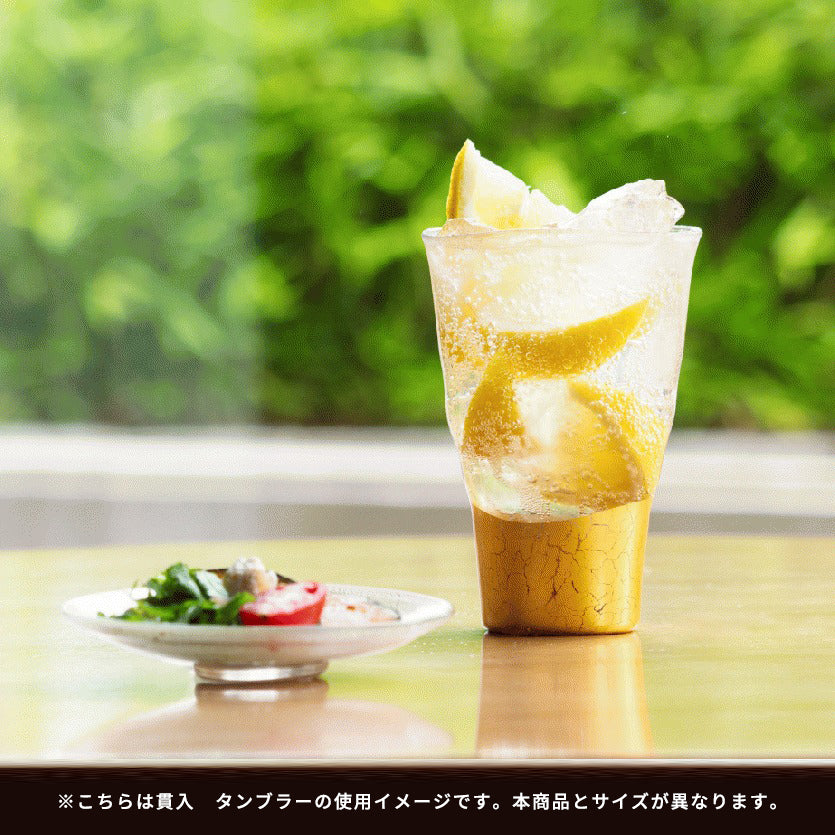 貫入　タンブラーグラス<2個>【箔一】