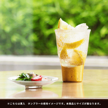 貫入　タンブラーグラス<2個>【箔一】